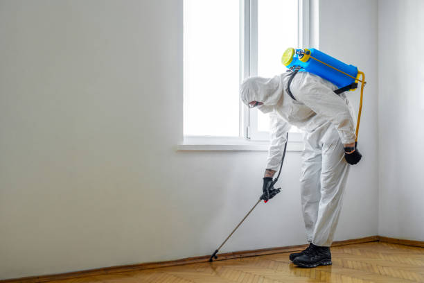 Pest Prevention Services in North Charleroi, PA